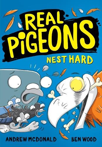 Real pigeons nest - nest, hard
