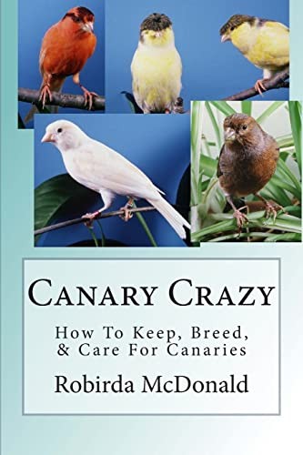 Canary crazy how - crazy:,